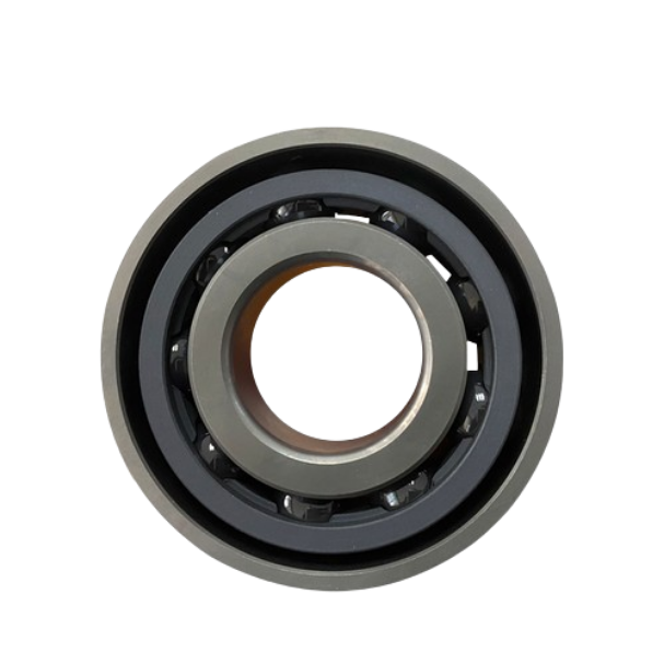 Low Temperature Angular Contact Bearings