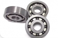 Hybrid Bearings