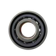 Low Temperature Angular Contact Bearings